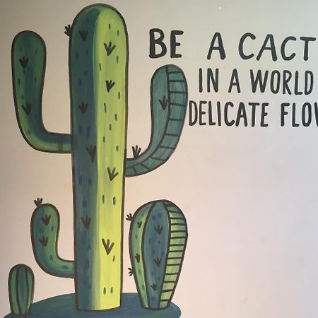 Bajas Cactus Hostel Κάβο σαν Λούκας Εξωτερικό φωτογραφία