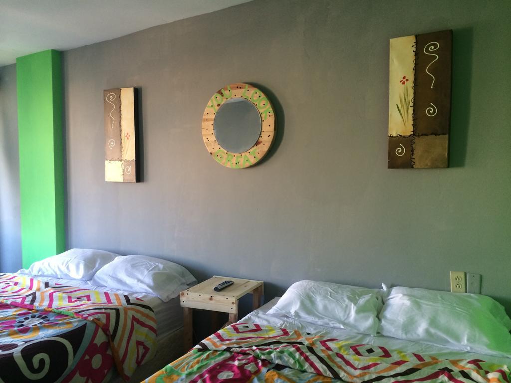 Bajas Cactus Hostel Κάβο σαν Λούκας Δωμάτιο φωτογραφία
