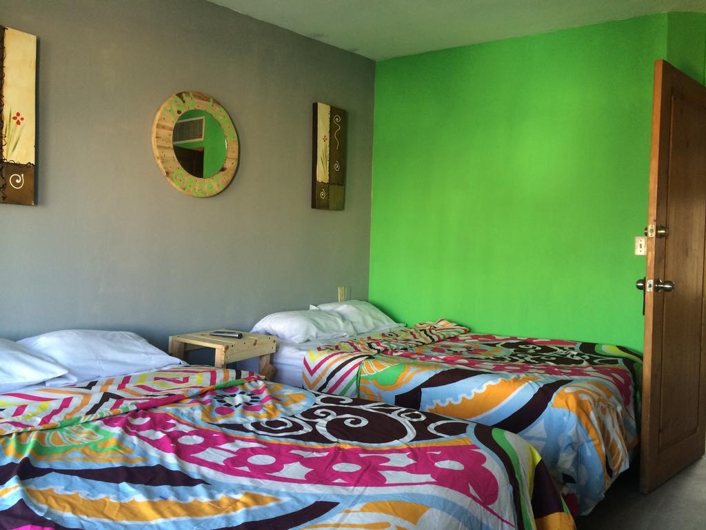 Bajas Cactus Hostel Κάβο σαν Λούκας Δωμάτιο φωτογραφία