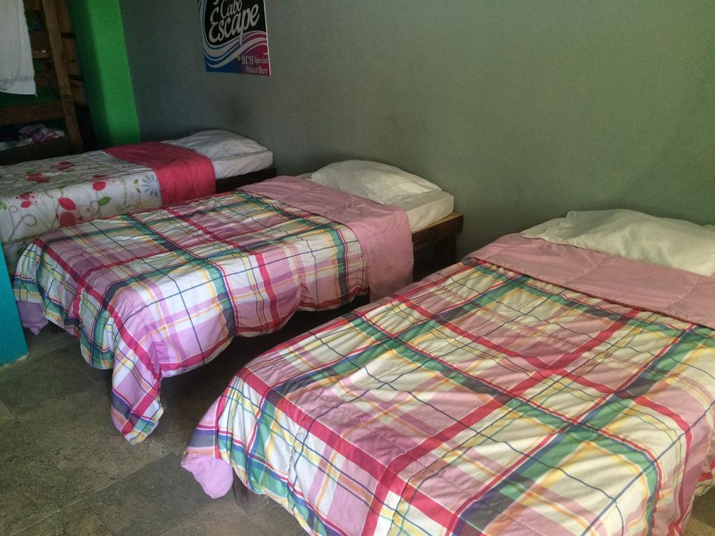 Bajas Cactus Hostel Κάβο σαν Λούκας Δωμάτιο φωτογραφία
