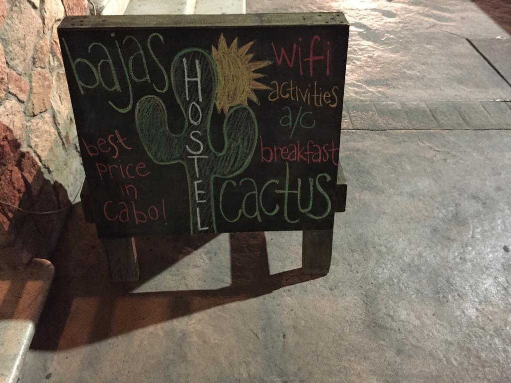 Bajas Cactus Hostel Κάβο σαν Λούκας Εξωτερικό φωτογραφία