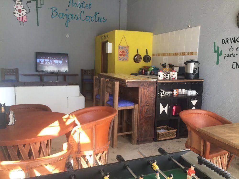 Bajas Cactus Hostel Κάβο σαν Λούκας Εξωτερικό φωτογραφία
