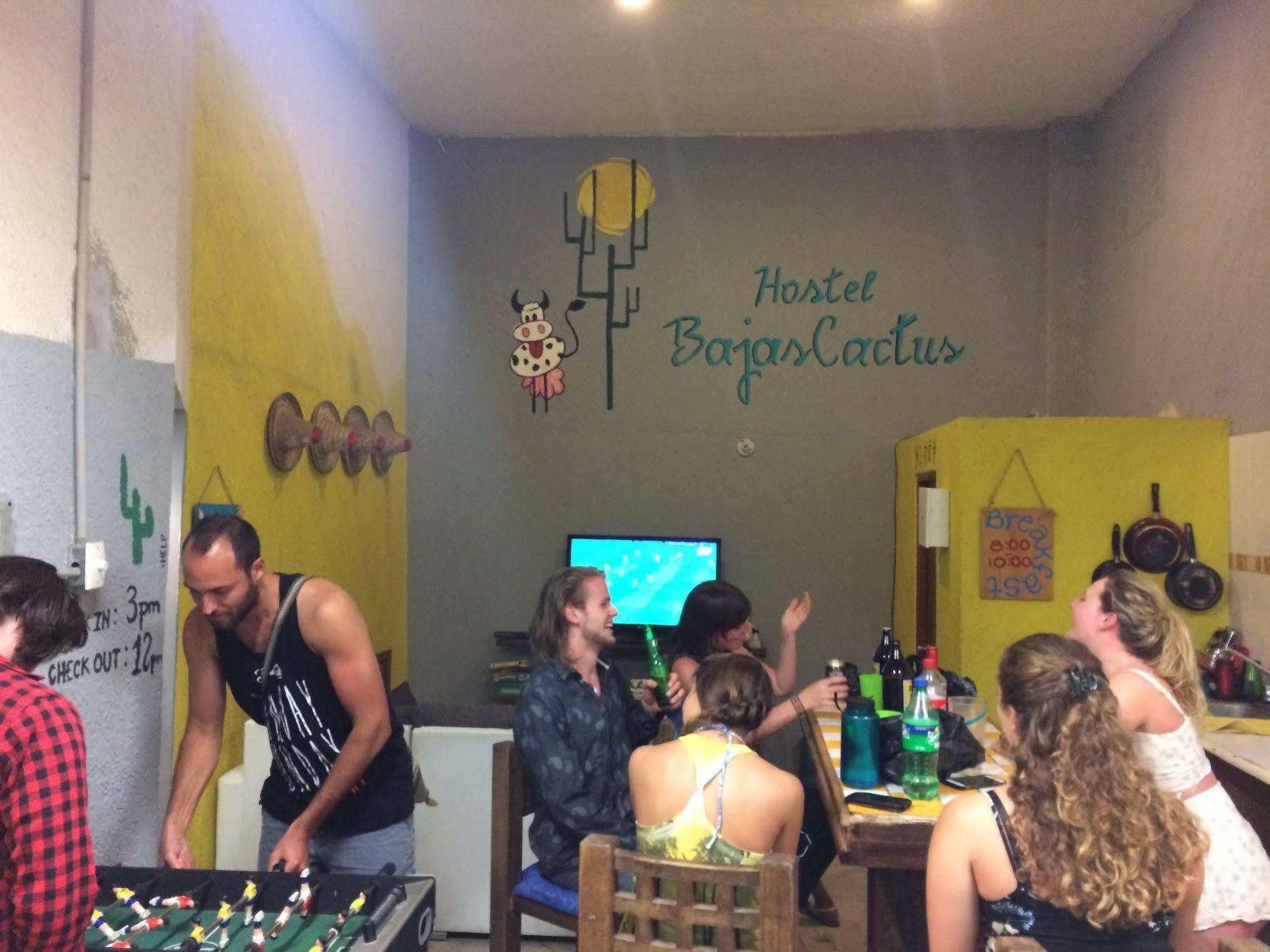 Bajas Cactus Hostel Κάβο σαν Λούκας Εξωτερικό φωτογραφία
