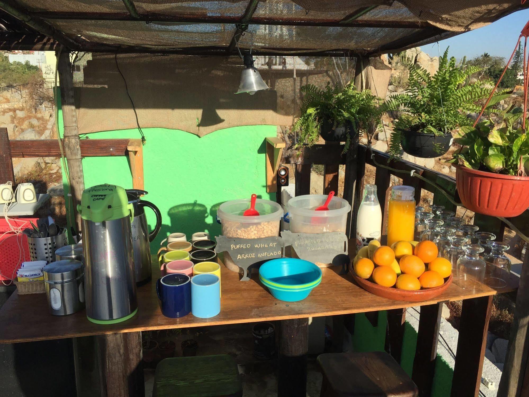 Bajas Cactus Hostel Κάβο σαν Λούκας Εξωτερικό φωτογραφία