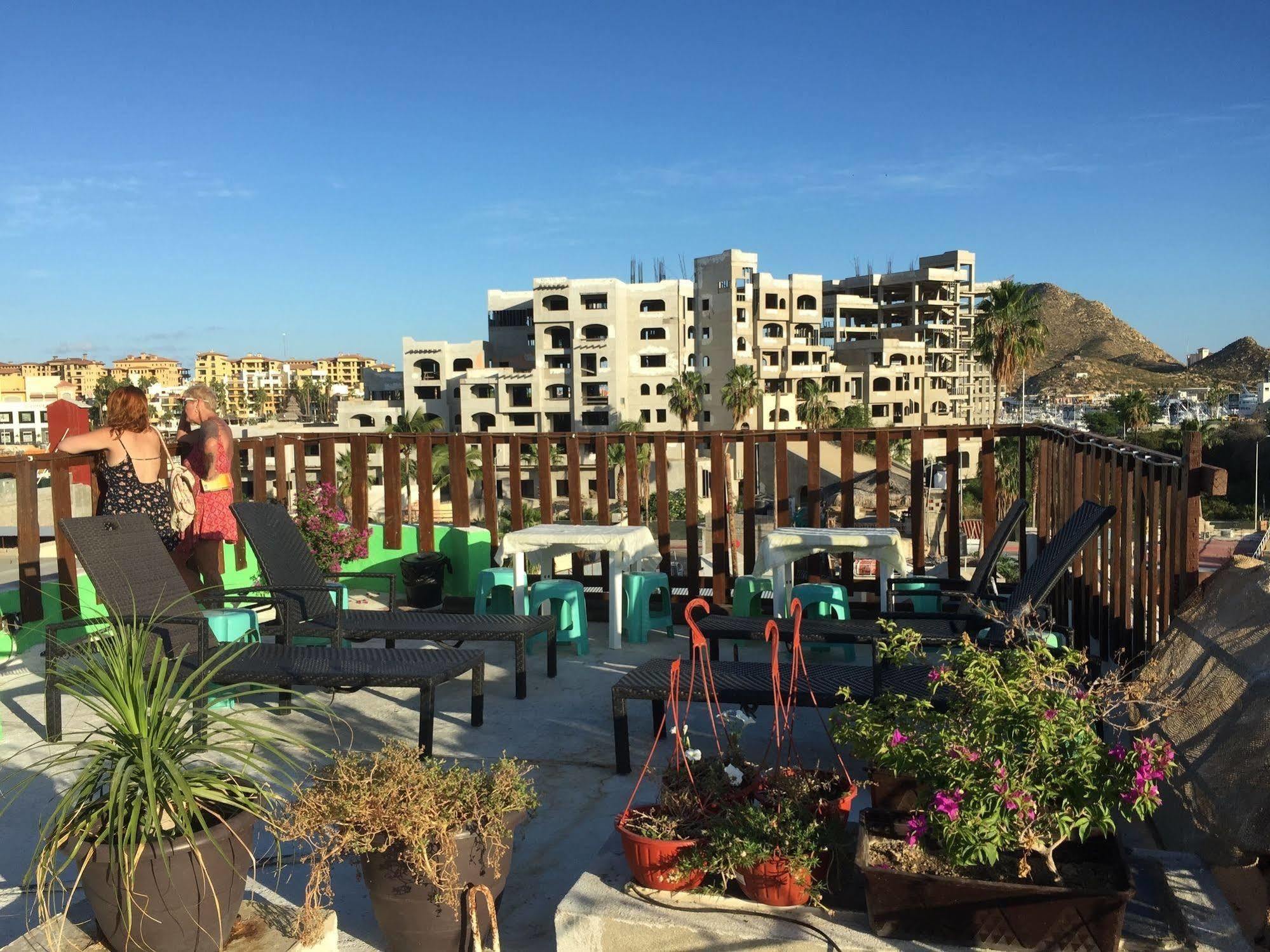 Bajas Cactus Hostel Κάβο σαν Λούκας Εξωτερικό φωτογραφία