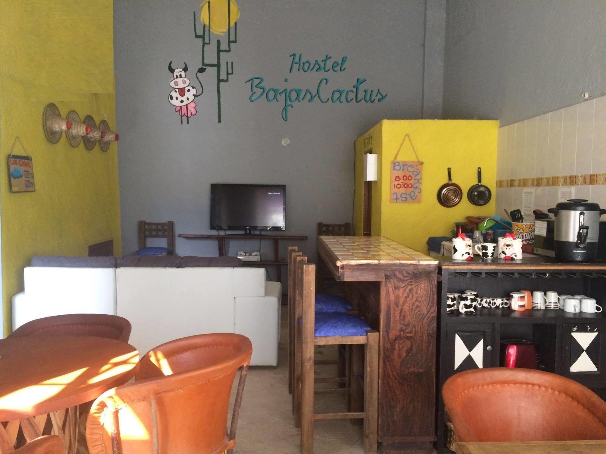 Bajas Cactus Hostel Κάβο σαν Λούκας Εξωτερικό φωτογραφία