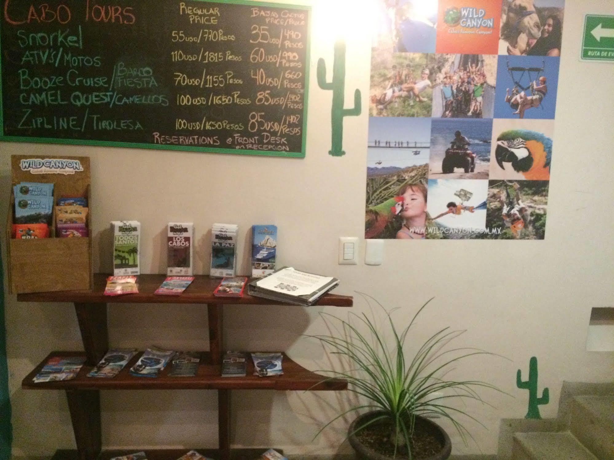 Bajas Cactus Hostel Κάβο σαν Λούκας Εξωτερικό φωτογραφία