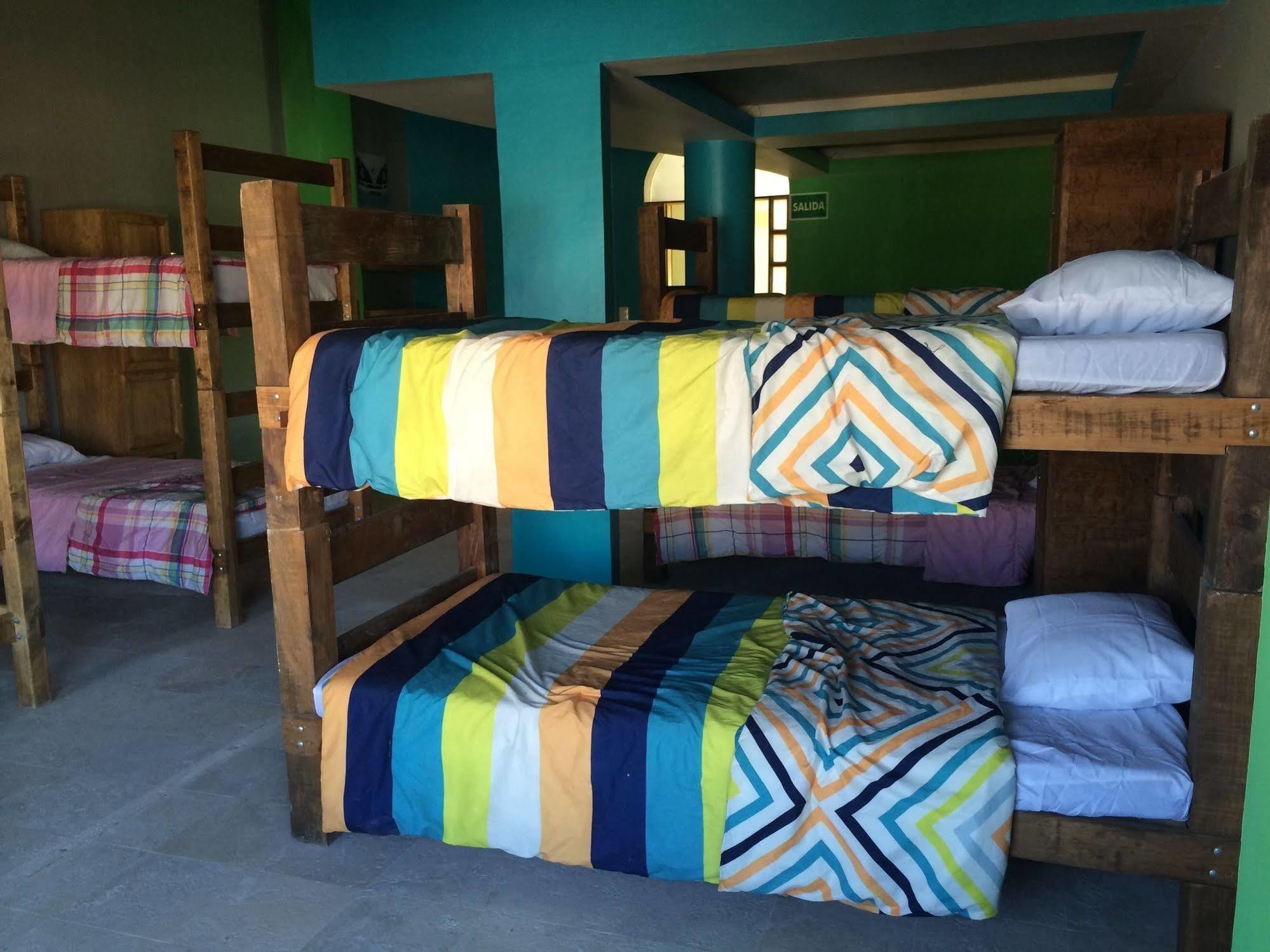 Bajas Cactus Hostel Κάβο σαν Λούκας Εξωτερικό φωτογραφία