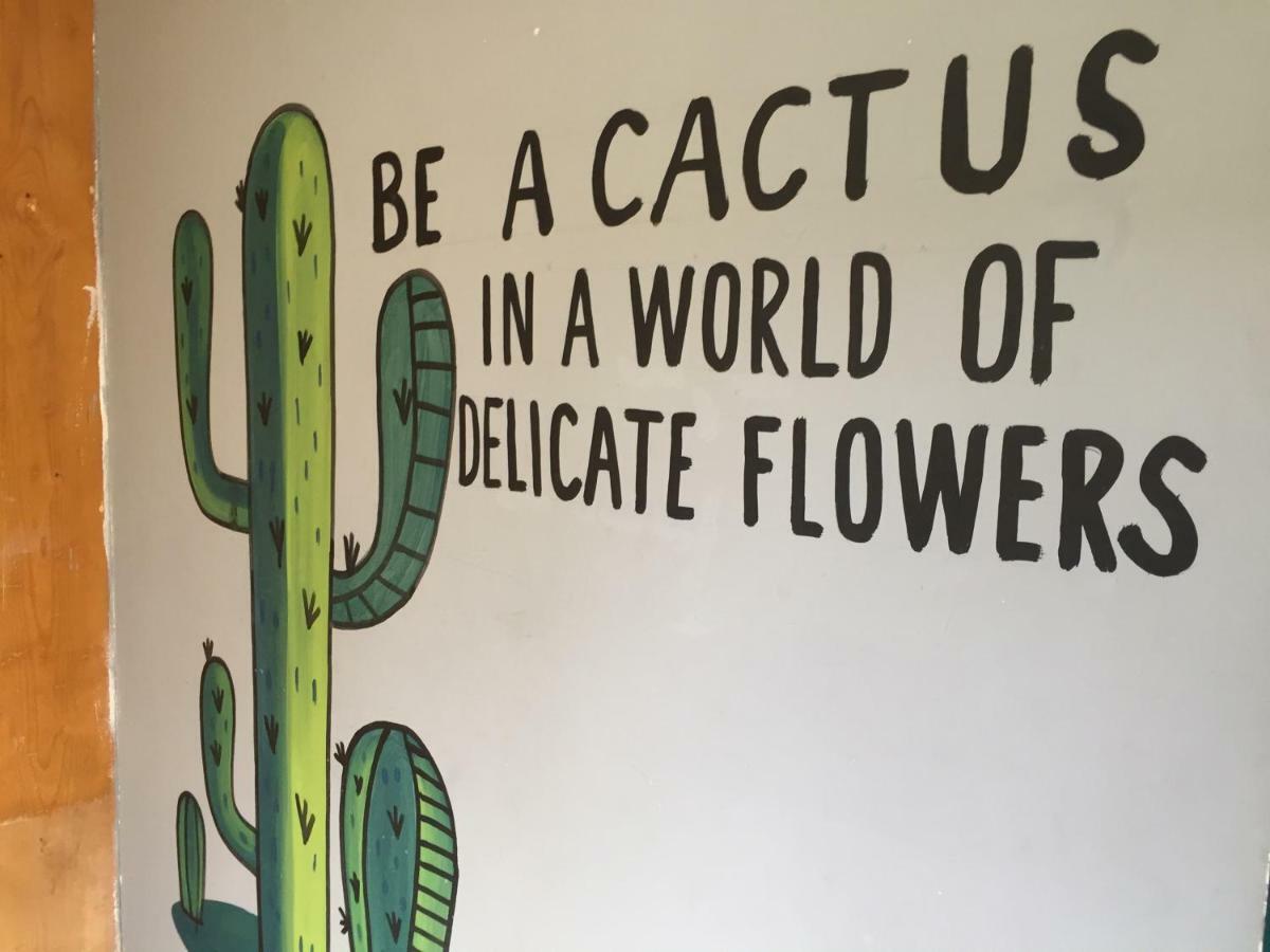 Bajas Cactus Hostel Κάβο σαν Λούκας Εξωτερικό φωτογραφία